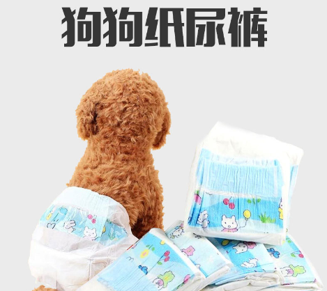 狗狗紙尿褲寵物尿不濕泰迪寵物小狗月經(jīng)褲母狗生理褲狗狗 用品廠